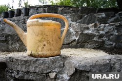 Без этого древнего инструмента невозможно представить сегодняшний уход за растениями