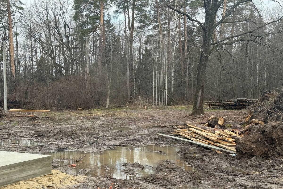 Прокуратура добилась возврата земли Сосновой рощи в муниципальную собственность