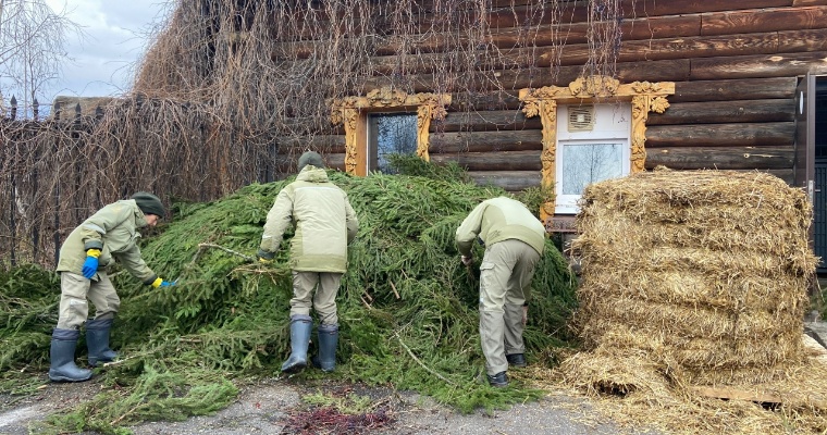 В зоопарке Удмуртии с похолоданием медведи ушли в зимнюю спячку