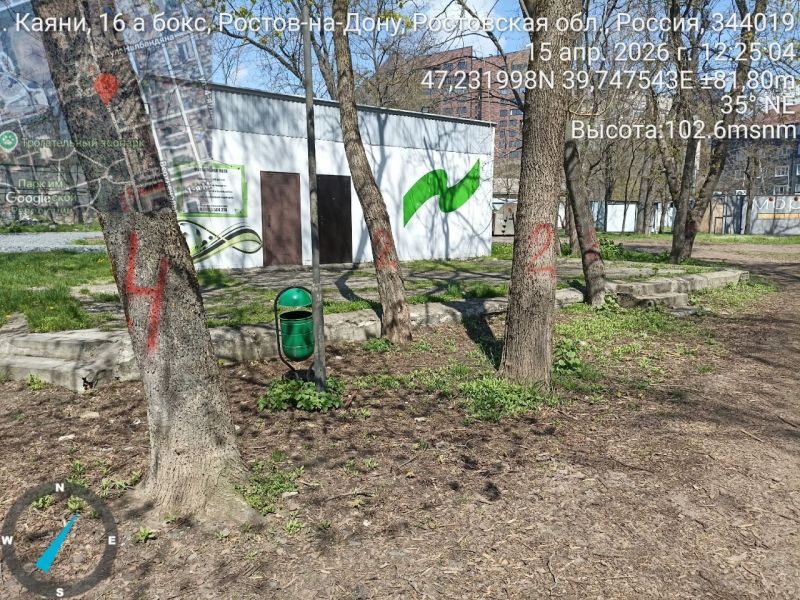 В парке Революции Ростова-на-Дону может начаться массовая вырубка деревьев