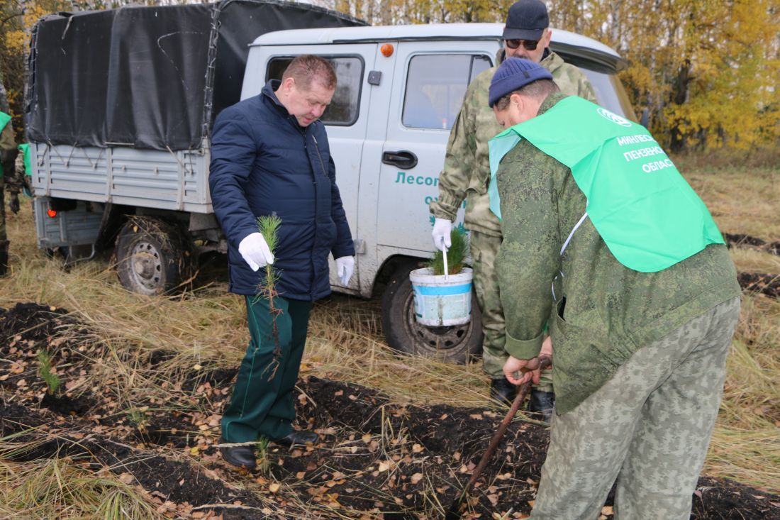 Сайт министерства лесного хозяйства пензенской области