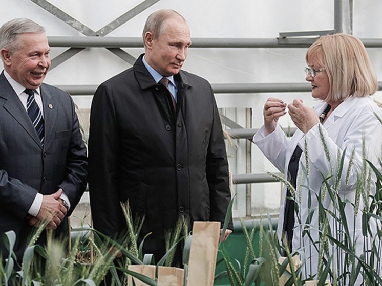Владимир Путин присвоил звание Героя Труда сотруднице краснодарского «Национального центра зерна имени Лукьяненко»