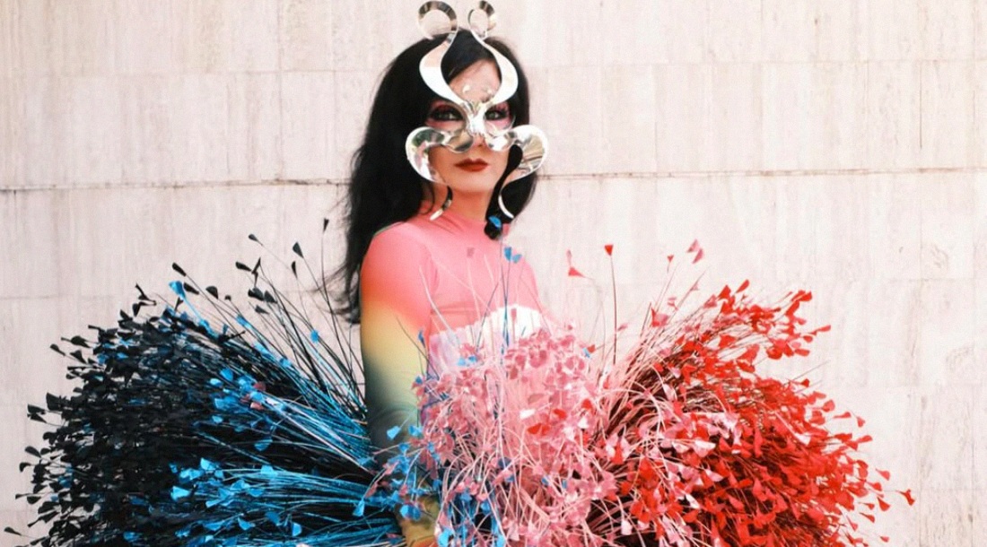 Бьорк / Фото: соцсети Бьорк