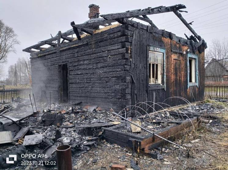 Житель Томской области сжег два дома из-за галлюцинаций