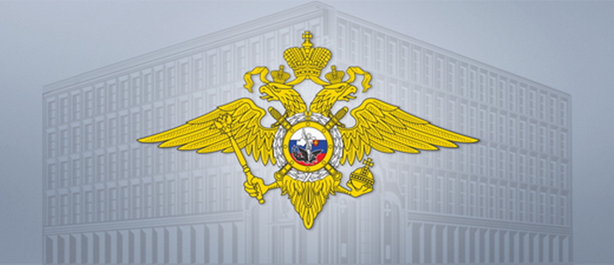 Мвд картинка