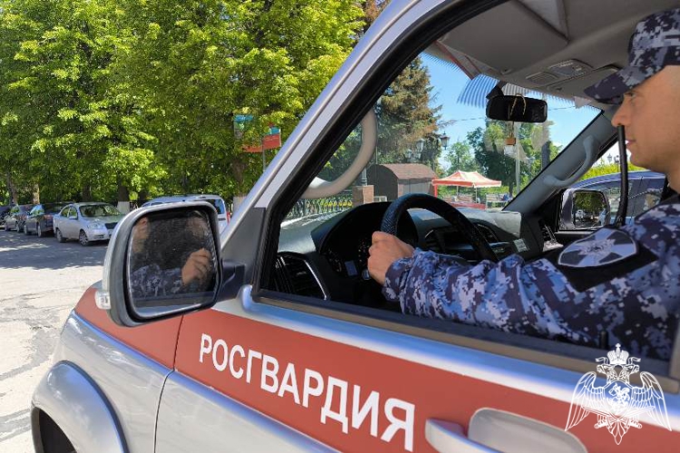 Ульяновские росгвардейцы задержали подозреваемого в краже