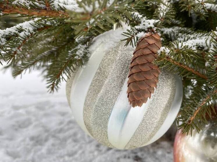 Юные сахалинцы побывали на главной ёлке страны — в Кремле