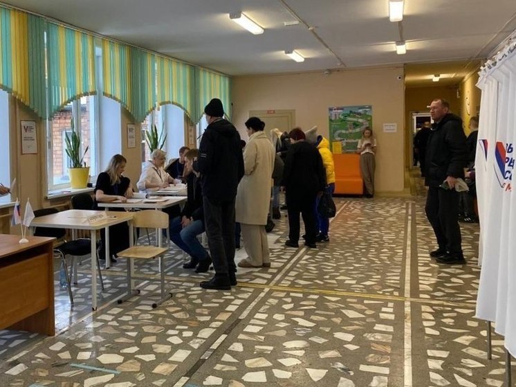 В Красноярске девушка пришла на выборы в костюме блина