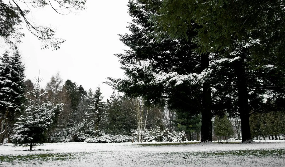 Дождь и снег в Краснодарском крае 24 января: ситуация по городам