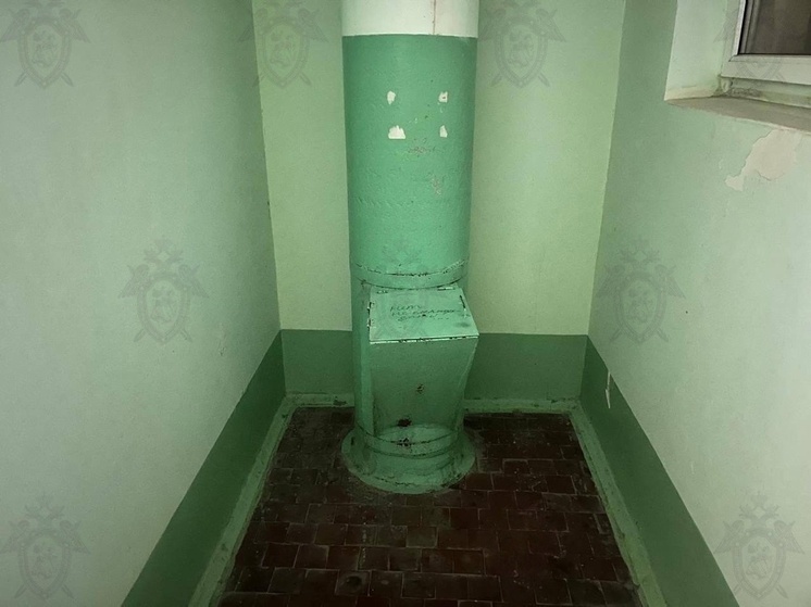 В Ростовской области на семь лет осудили мужчину, сбросившему подругу в мусоропровод