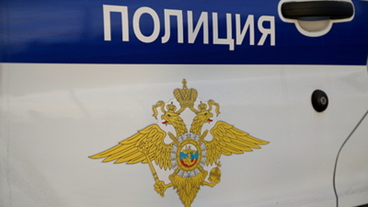 Мигрант подбивал русских девочек на извращения в Сети. Жертвами стали десятки школьниц