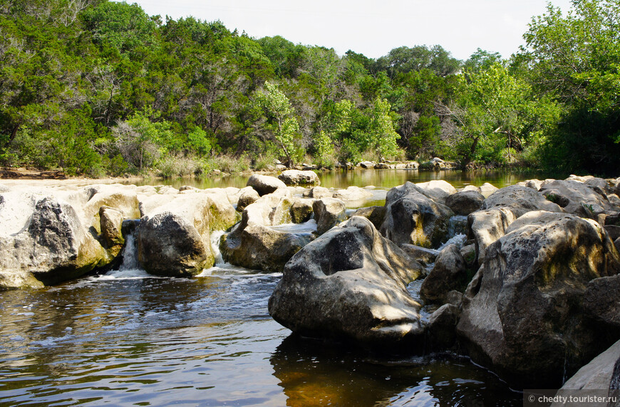 Жизнь на опушке леса