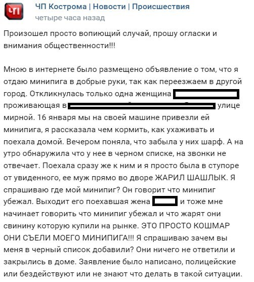 Жительница Костромы обратилась в полицию с жалобой на новых владельцев минипига, которые сделали из него шашлык