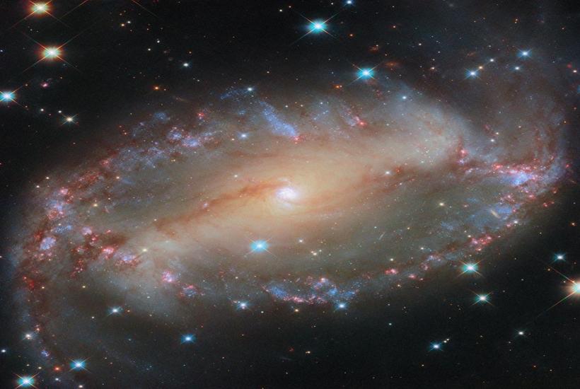 спиральная галактика NGC 2566