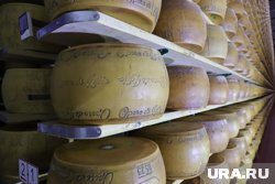 Дети с родителями могут отправиться на сыроварню в Чебаркуль 
