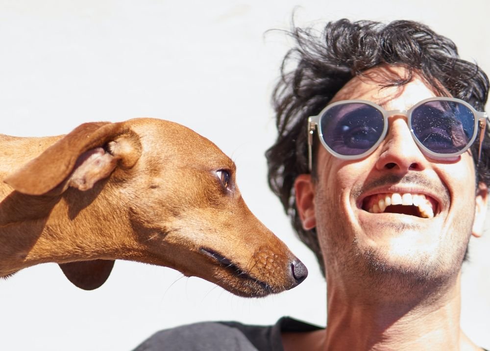 Собаки могут распознавать человеческие ошибки