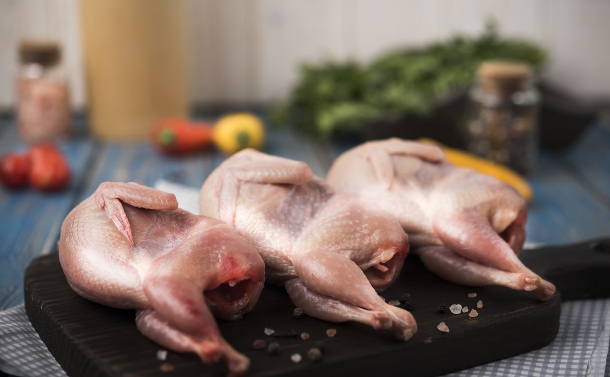 В Тульской области фермеры незаконно продлили срок годности цыплят-бройлеров