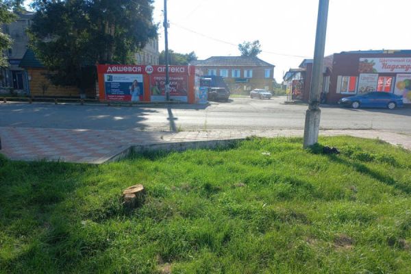 Девочка сломала ключицу по вине 21-летнего водителя из села Хакасии