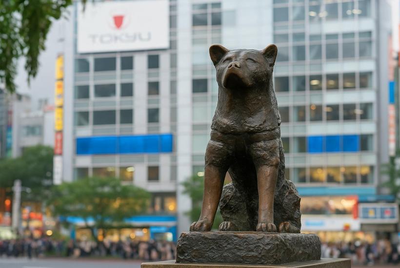 Памятник Хатико