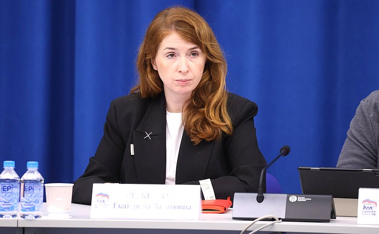 Заседание Комиссии Совета Федерации по развитию креативных (творческих) индустрий и народных художественных промыслов в РФ