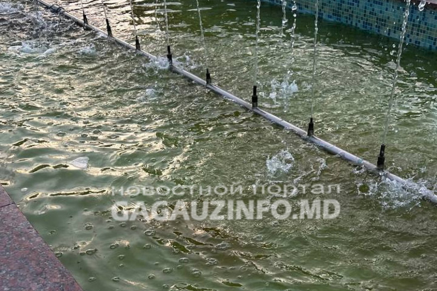 Вода в фонтане у КГУ стала мутно-зеленой. Будут ли ее чистить?