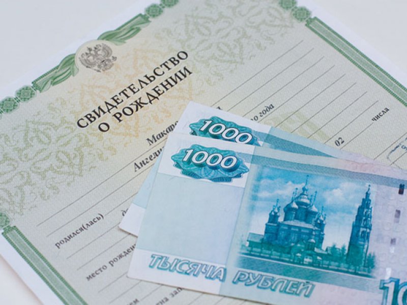 401 семья города Владимира в 2024 году получили выплату на рождение ребенка