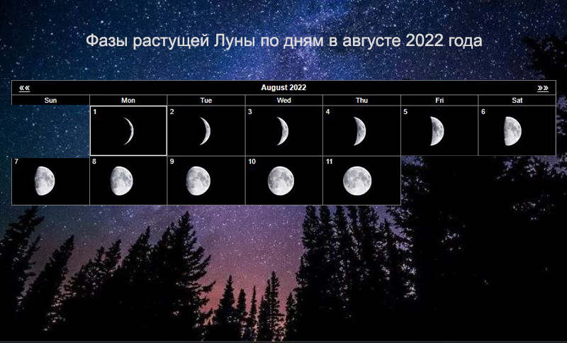 Возрастающая луна 2024 год