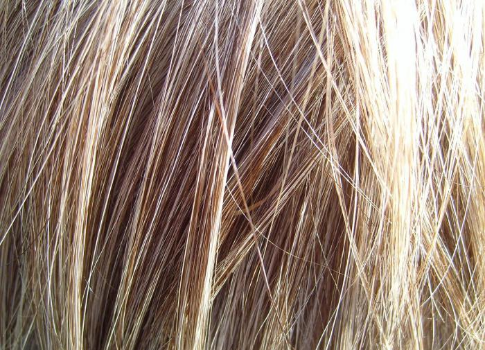 Салонные процедуры, которые помогут восстановить сожженные волосы