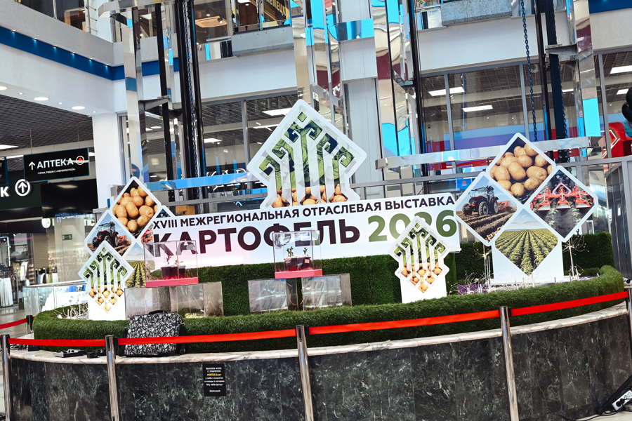 Олег Николаев: В Чувашии сохраняются  все меры господдержки картофелеводства