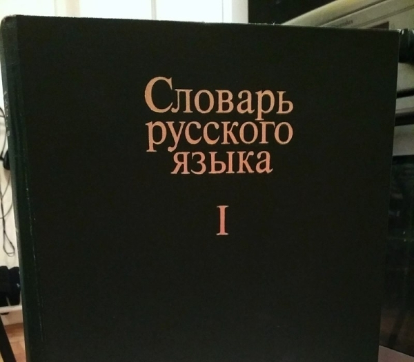 В Киеве предложили исключить упоминание о русском языке из конституции