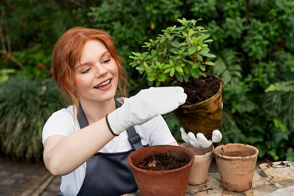Лунный посевной календарь на 2026 год