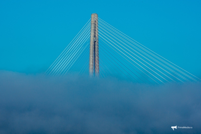 Мост на остров Русский в тумане. Мария Смитюк, ИА PrimaMedia