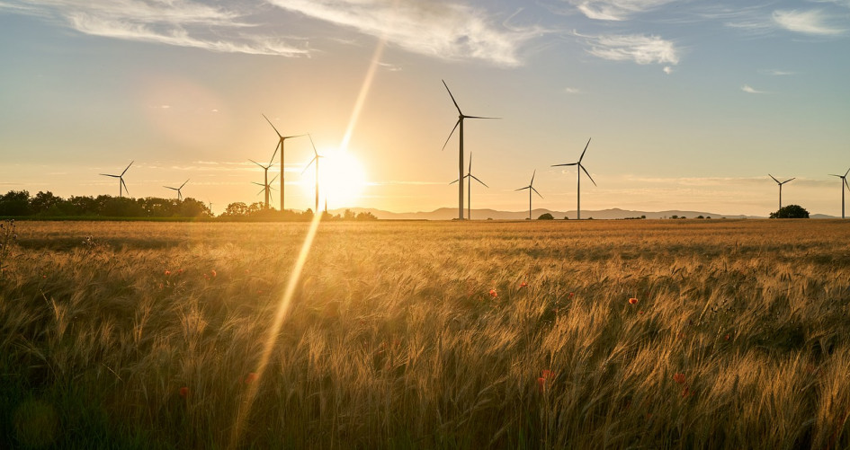 Windmills turn in the sunset