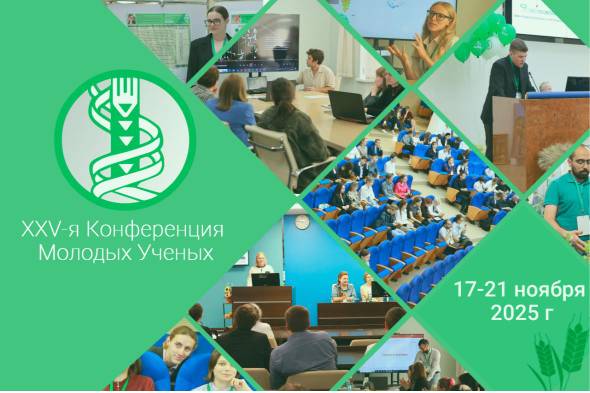 XXV Всероссийская молодежная научная конференция с международным участием