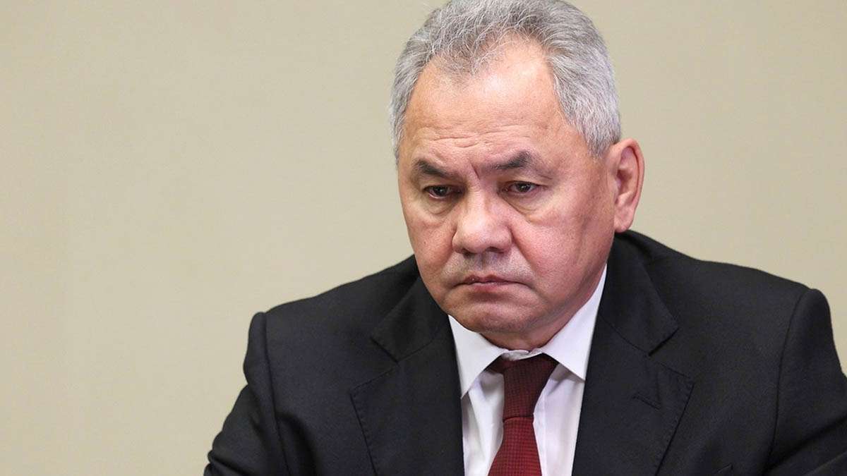 Шойгу назвал глупостью дополнительную мобилизацию