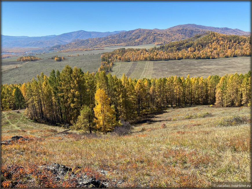 «Осенние краски Уймонской долины». Прощальный день: на гору Маяк с закрытыми глазами, посиделки на берегу Катуни и у костра в ночи 