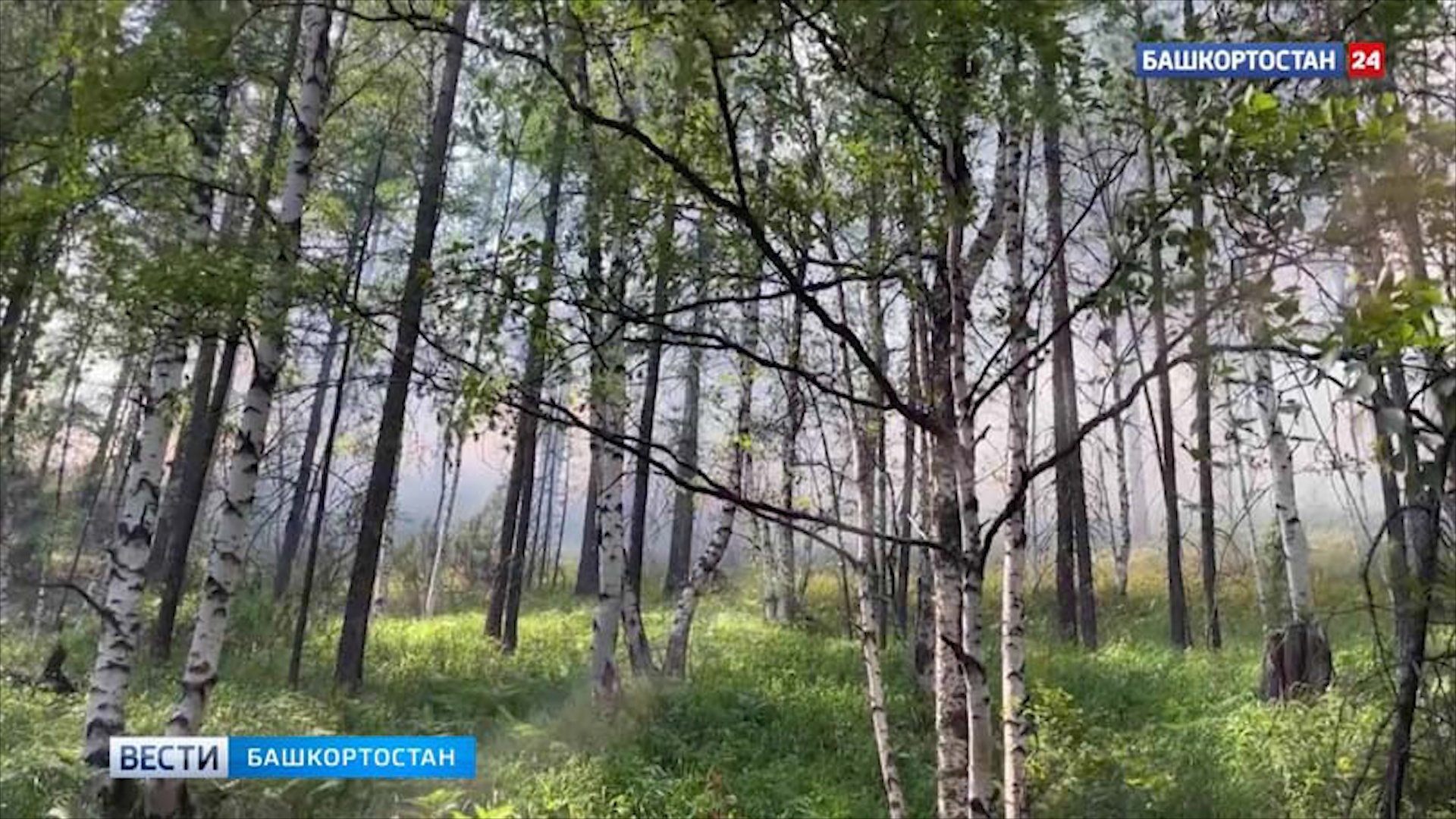 Дети потерялись в лесу в Абзелиловском районе Башкирии