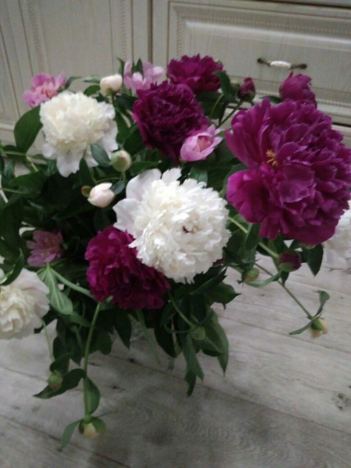 Отмечены заслуги жителей Тетюшского района РТ