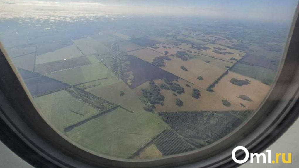 Омский суд рассмотрит апелляцию по делу пилота, посадившего самолёт в поле под Новосибирском