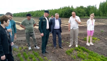 В Саратовской области отметили важность питомников для лесовосстановления региона
