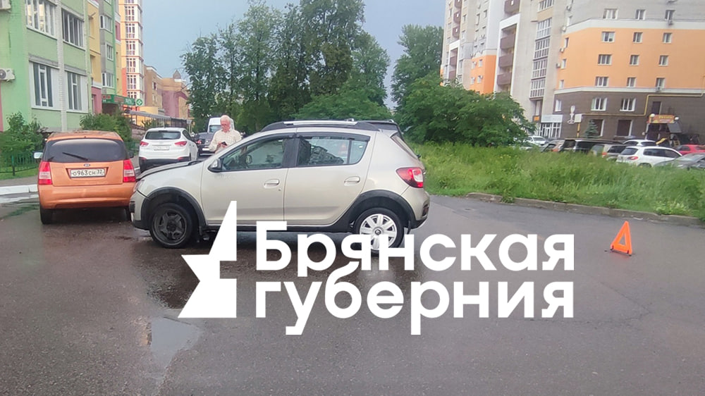 Карта брянска с осадками