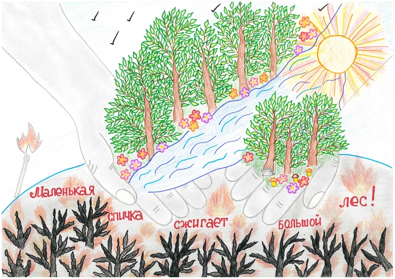 В Кировской области проходит конкурс рисунка «Лес – наша жизнь»