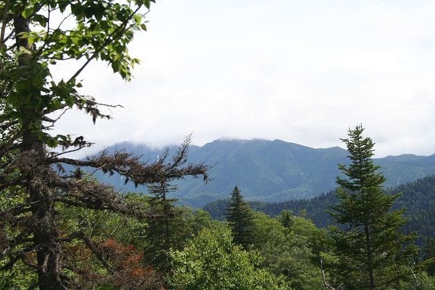 Гора Лопатина. Сахалин