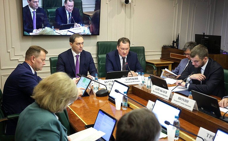 Заседание Комитета Совета Федерации по экономической политике