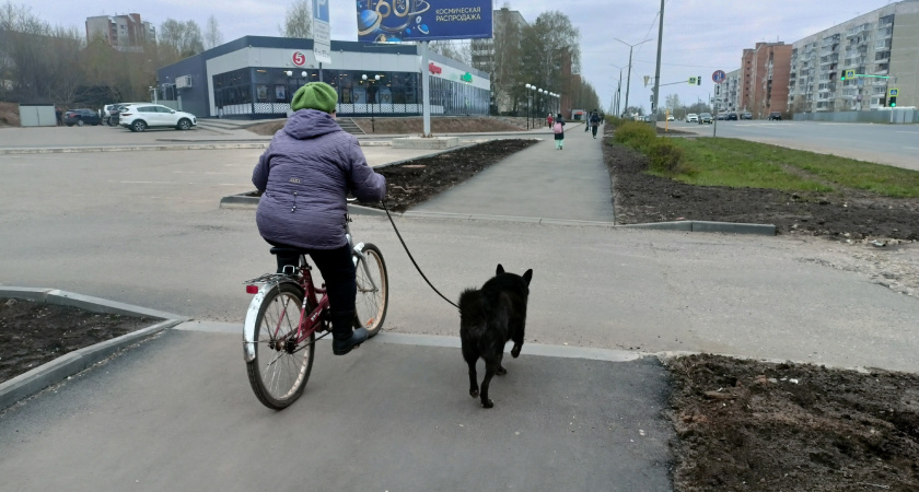 В Кировской области агрессивные собаки покусали 15 человек за 10 дней