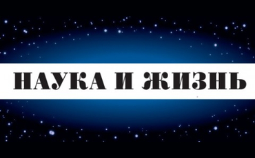 Деменция грязного воздуха