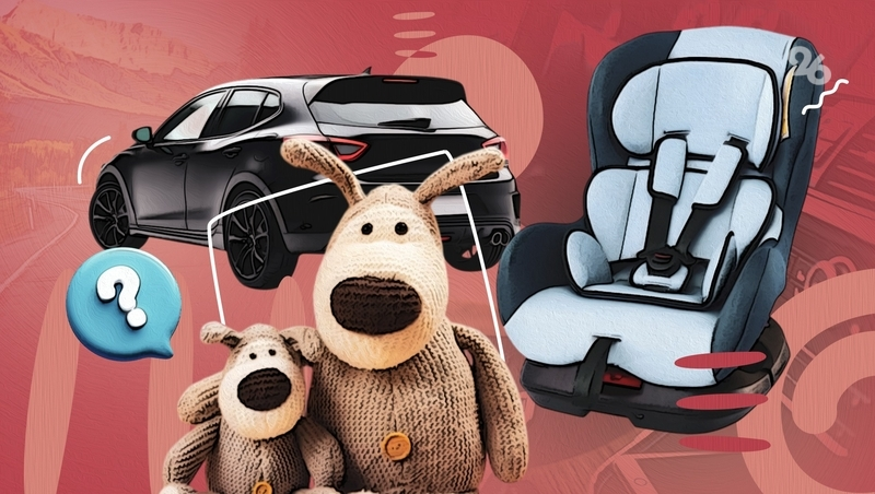 Построить маршрут и выбрать ночлег: как ставропольцам подготовиться к автопутешествию с детьми и питомцами