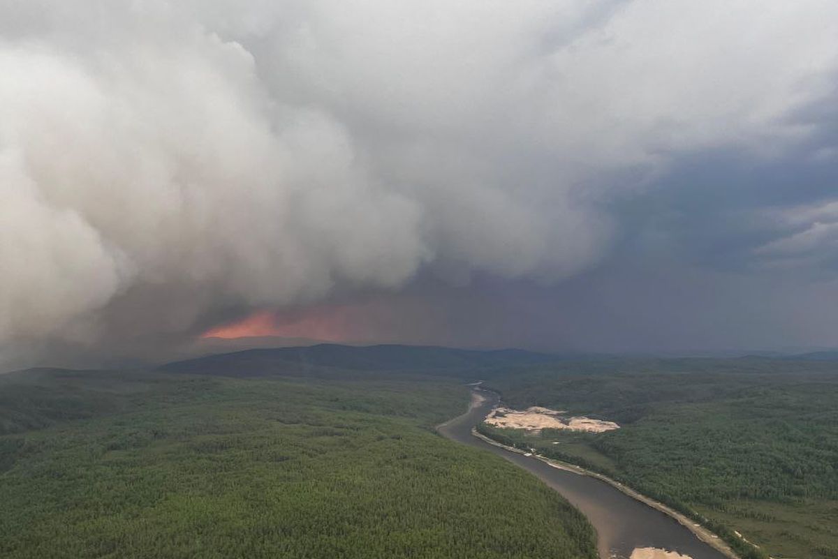 Зейский округ. Фото: телеграм-аккаунт минлесхоза Амурской области