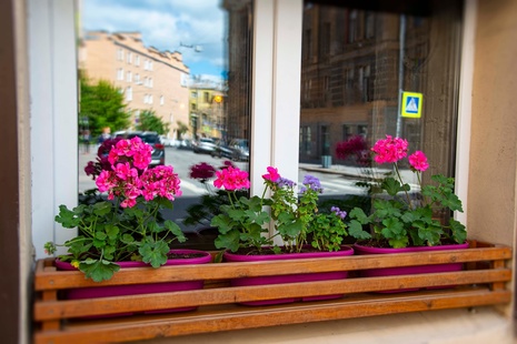 Приглашаем жителей Петроградского района принять участие в конкурсе «Лучший балкон»