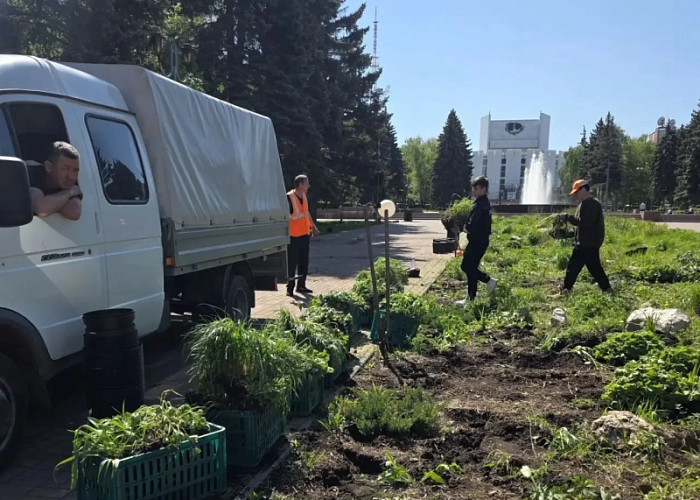 В сквере на площади Революции начали обновлять цветники 